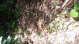 The Wife Got Fucked by Someone Who Came to Clean the Garden While Husband Was at Work
