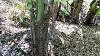 I hid behind a tree and watched the bath.