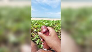 Cut Cock cumshot at beach oil massage Sinhala boy with cock ring srilanka