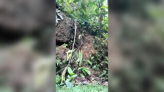Home made butt plug dildo fucking outside the house stilankan mom